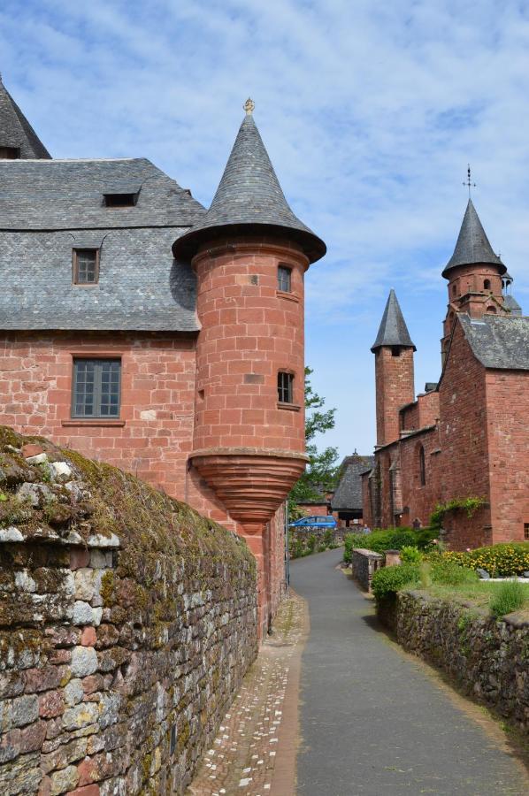 Chateau De Vassinhac Chambres D'Hotes Collonges La Rouge ภายนอก รูปภาพ