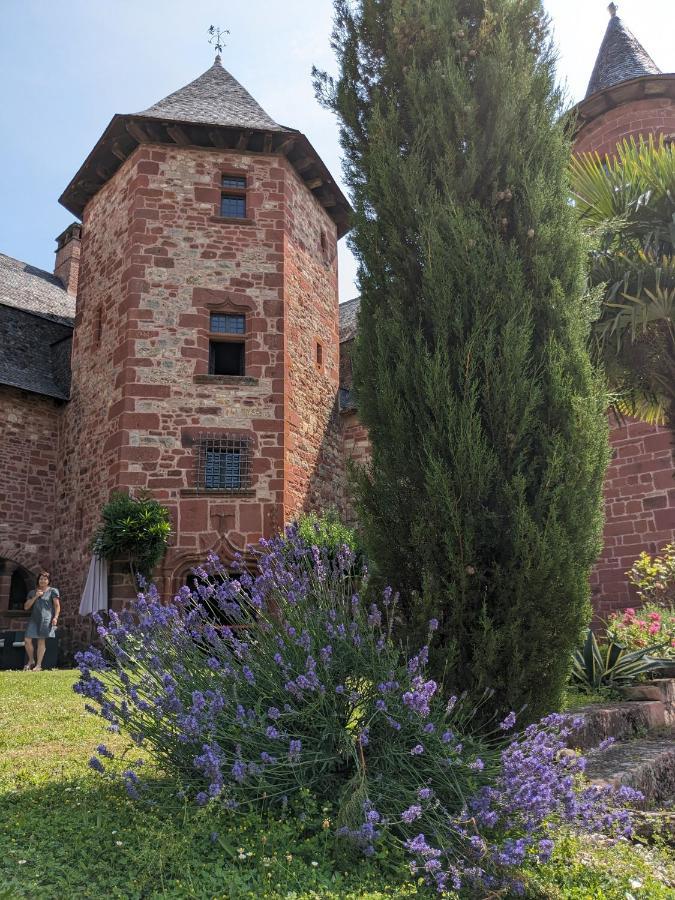 Chateau De Vassinhac Chambres D'Hotes Collonges La Rouge ภายนอก รูปภาพ